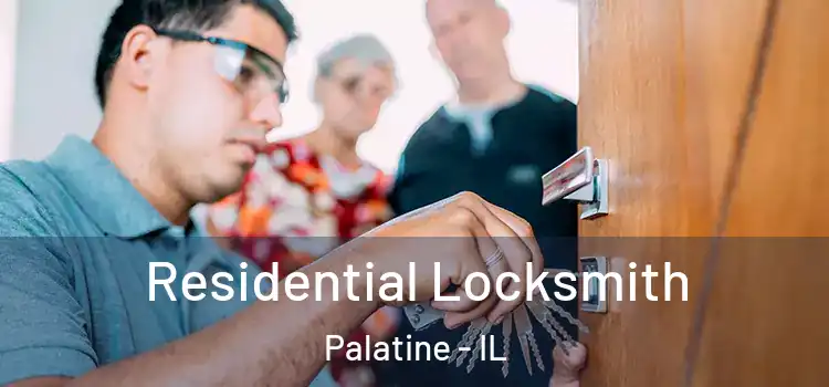 Residential Locksmith Palatine - IL