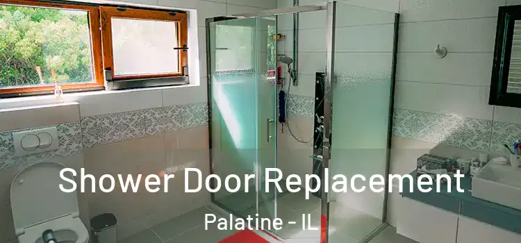 Shower Door Replacement Palatine - IL
