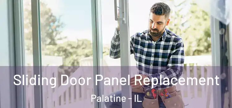  Sliding Door Panel Replacement Palatine - IL