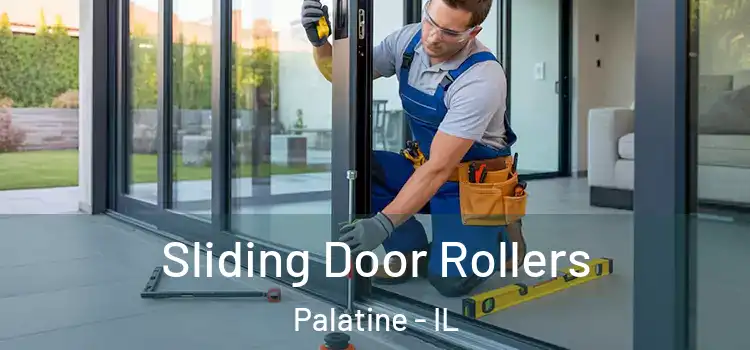  Sliding Door Rollers Palatine - IL