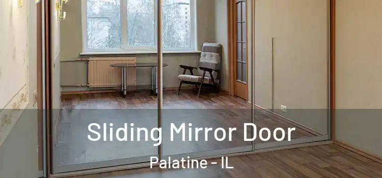  Sliding Mirror Door Palatine - IL