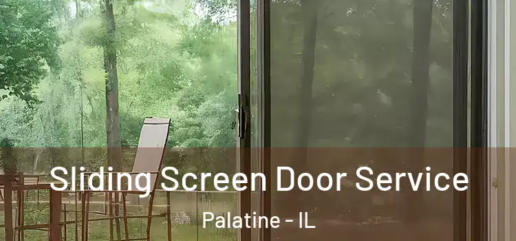  Sliding Screen Door Service Palatine - IL