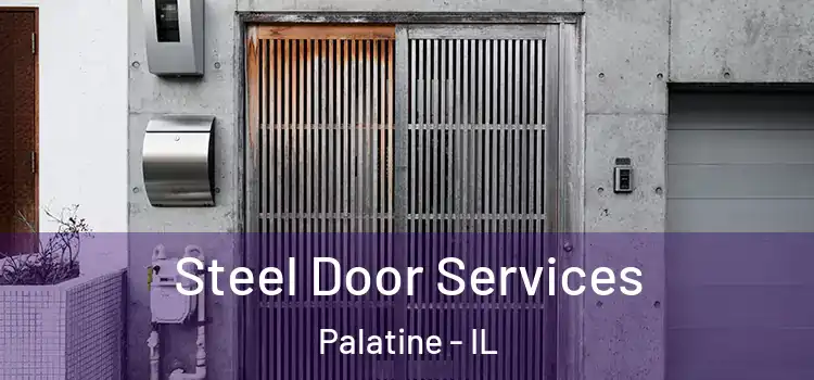  Steel Door Services Palatine - IL