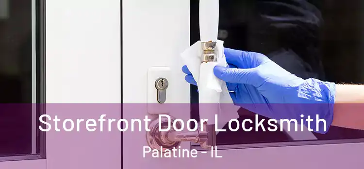 Storefront Door Locksmith Palatine - IL