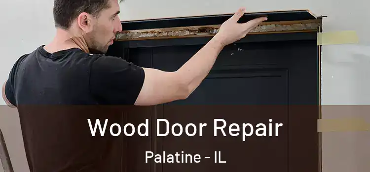  Wood Door Repair Palatine - IL